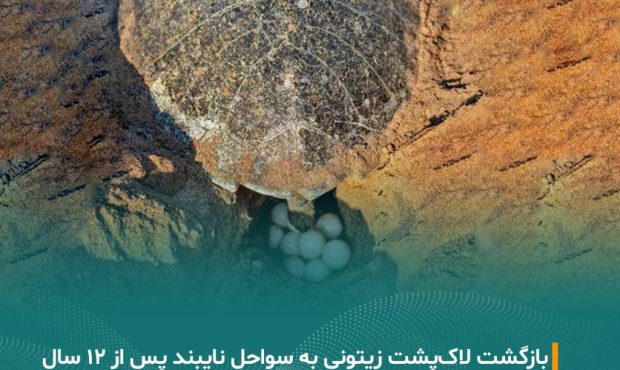 موفقیت زیست‌محیطی کم‌نظیر با مشارکت صنعت و طبیعت