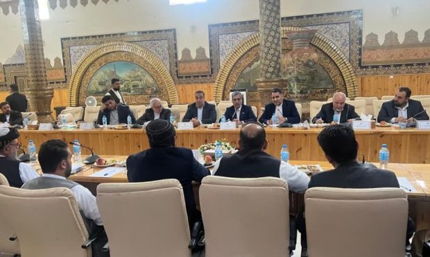علی رسولیان مدیرعامل فولاد سنگان: عزم جدی ایران و افغانستان برای همکاری مشترک بخش صنعت و معدن