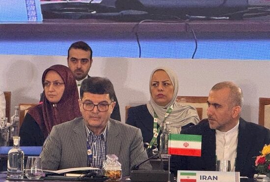ایران آماده گسترش همکاری‌های صنعتی پروژه‌محور با اعضای بریکس است